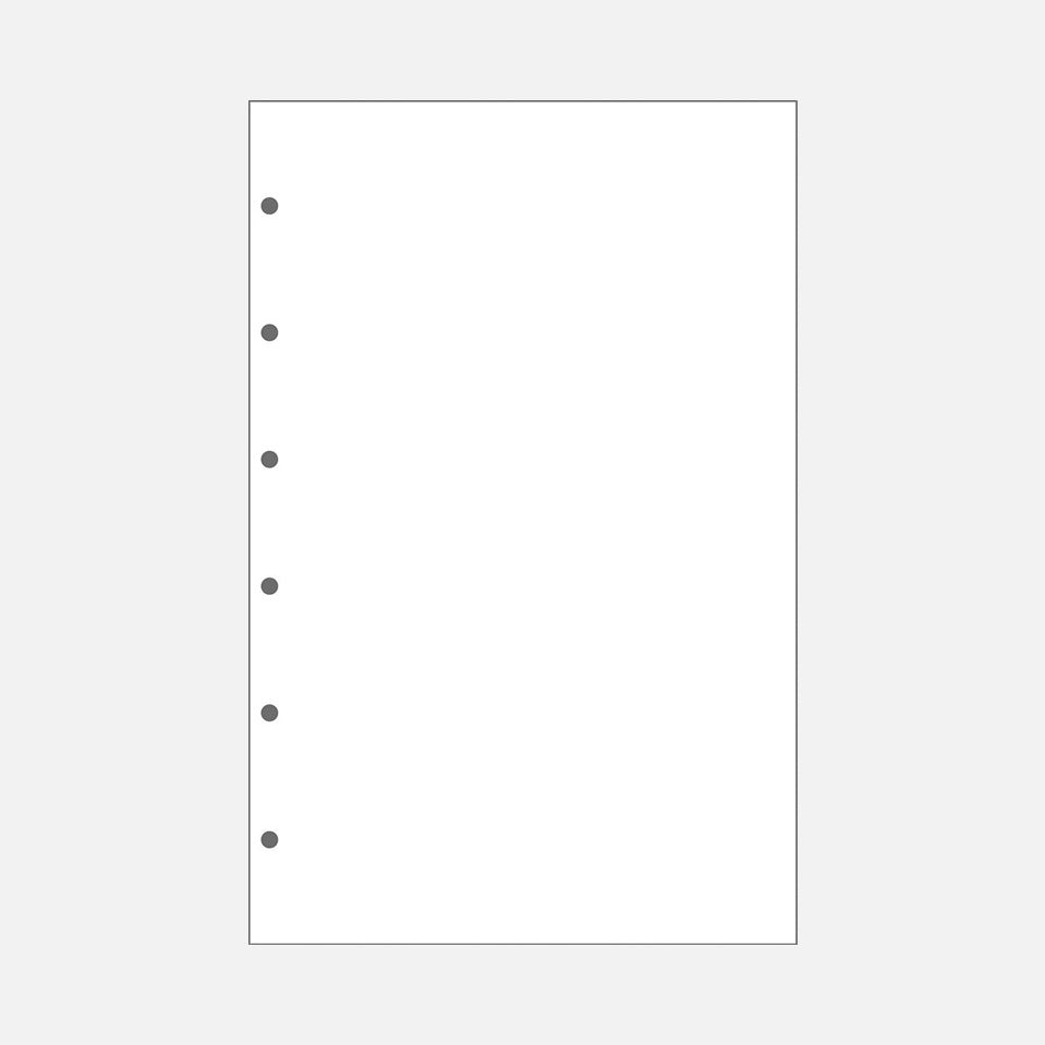 Blanko Urkundenpapier | 130 x 200 mm | 6-fach-Lochung
