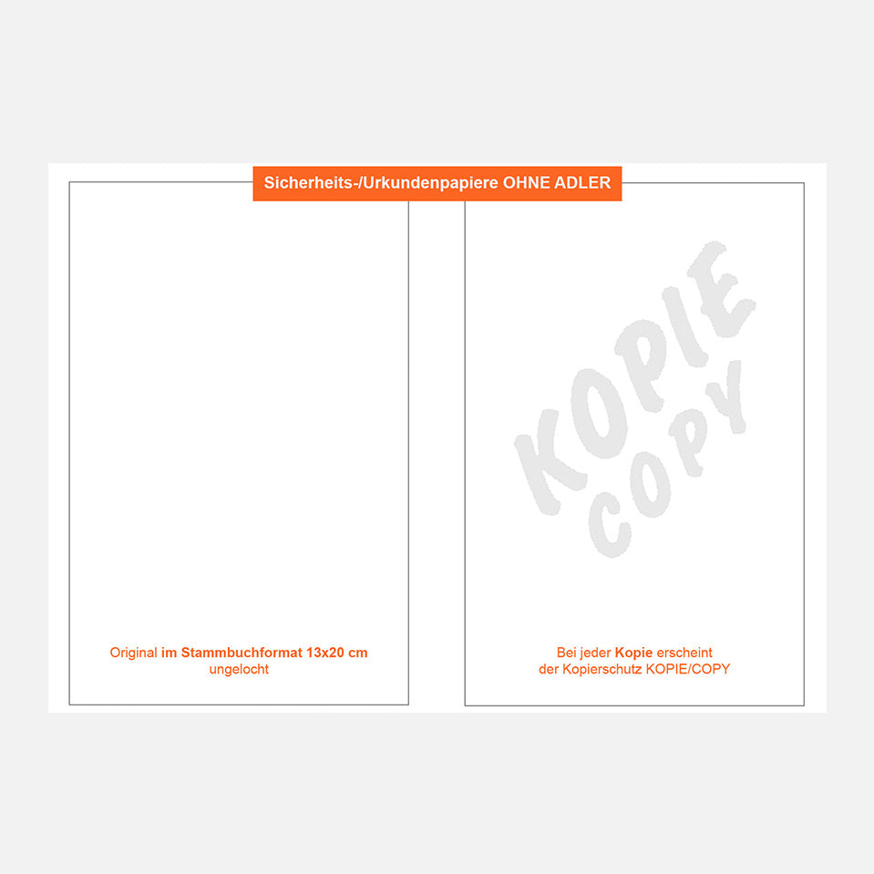 Sicherheitspapier-/Urkundenpapier ohne Adler | 130 x 200 mm | ungelocht