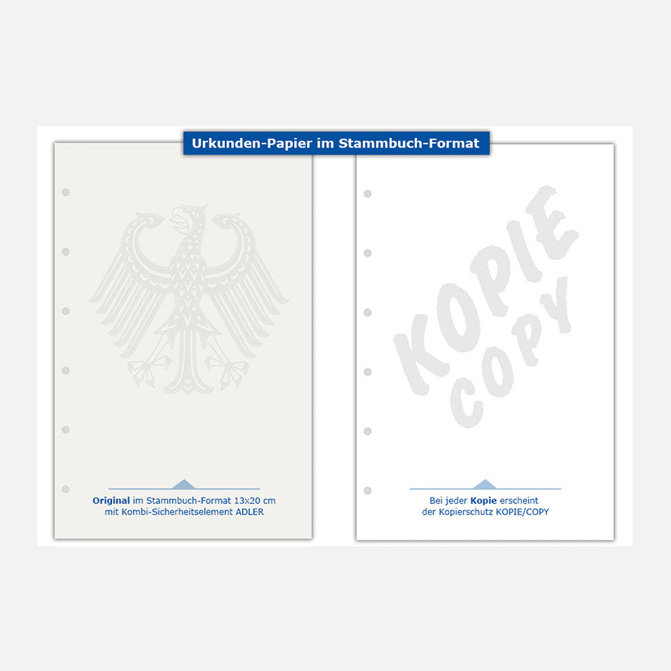 Sicherheitspapier-/Urkundenpapier mit Adler | 130 x 200 mm | 6-fach-lochung